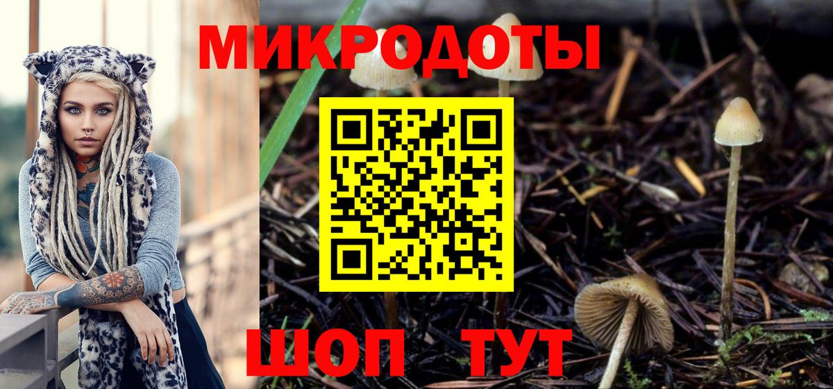 Набережные Челны  Псилоцибиновые грибы Psilocybe  Вход с VPN 